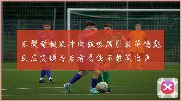 东契奇假装冲向教练席引发范德彪反应艾顿与后者忍俊不禁笑出声